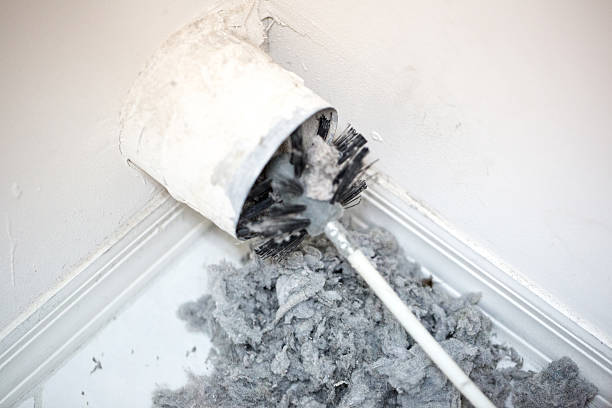 Best Air Duct Mold Removal  in Wilmington, DE